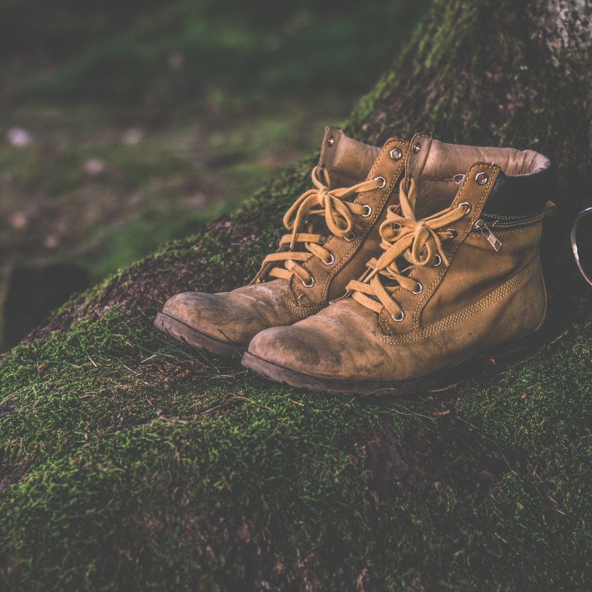 Wanderschuhe Shop Schweiz