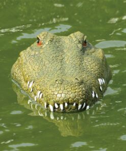 ferngesteuer Alligator-Kopf Boot, Onlineshop Schweiz
