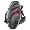 Motorrad Dainese Rückenprotektor Rückenpanzer kaufen Schweiz